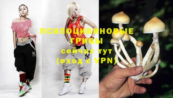 ECSTASY Аркадак