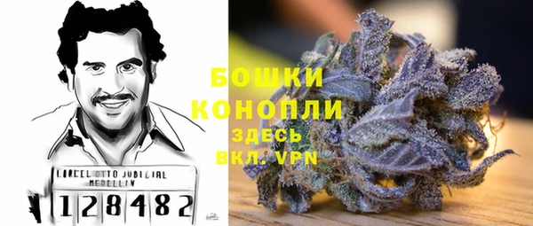 ПСИЛОЦИБИНОВЫЕ ГРИБЫ Долгопрудный
