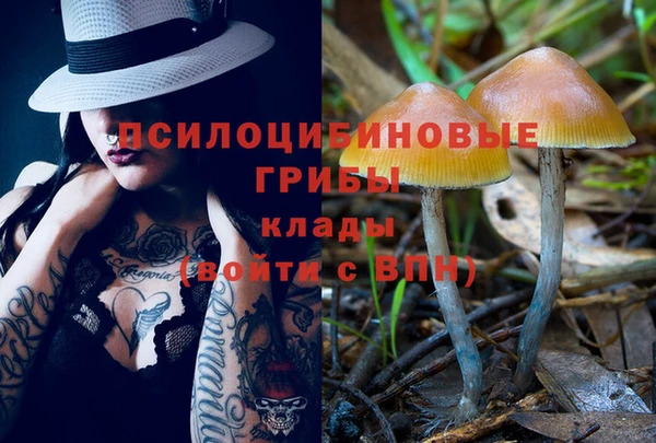 гидропоника Арсеньев